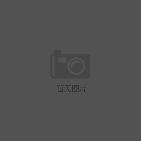 屋面预制板接缝防水结构专利