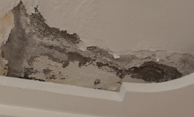 外墙渗水可以在内墙做防水吗？