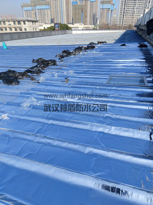 武汉某产业园厂房屋面防水施工
